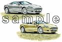 Aston Martin DB9 & Volante